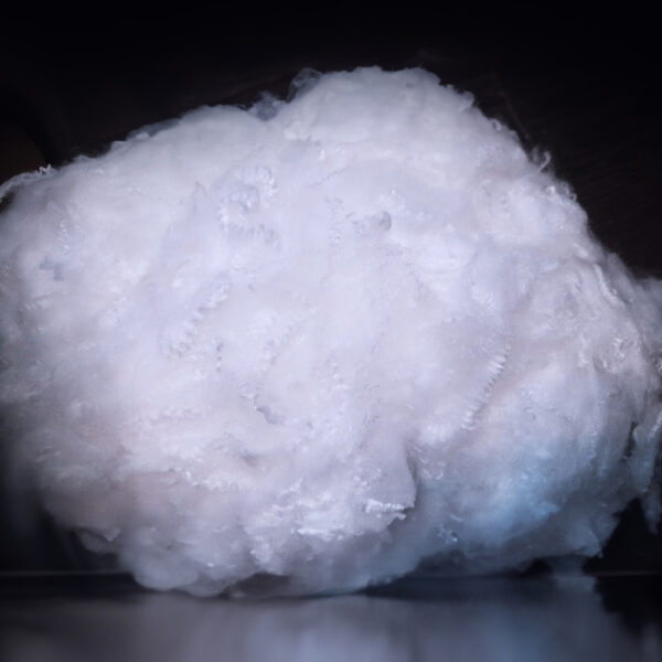 BI COMPONENTS POLYESTER FIBERS