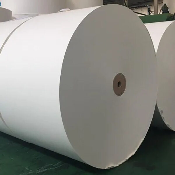 Base Paper (Cup stock paper 160 to 220 grams) + PE Coated Cup Stock Paper
