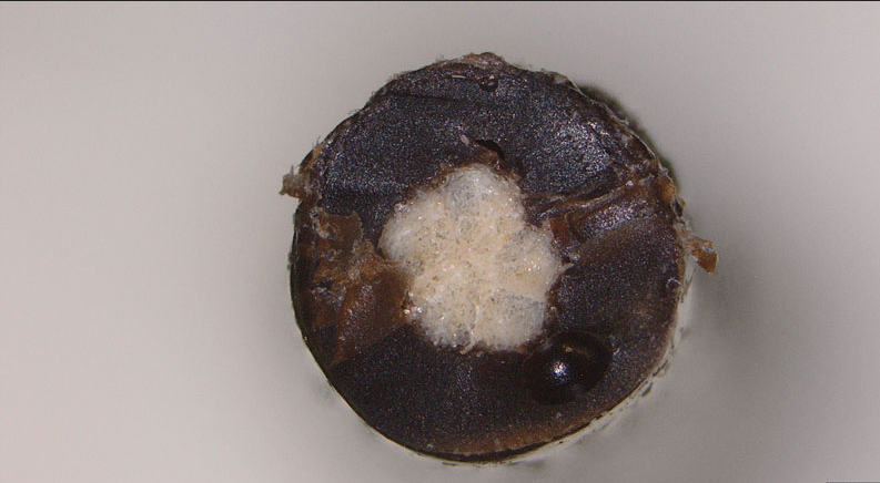 Lignin Kaplama, Çevre Dostu Doğal Elyaflardan Üretilen Geotekstilleri Daha Dayanıklı Hale Getiriyor