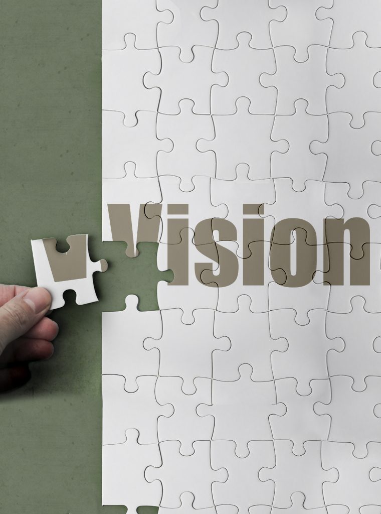 vision1 vision1